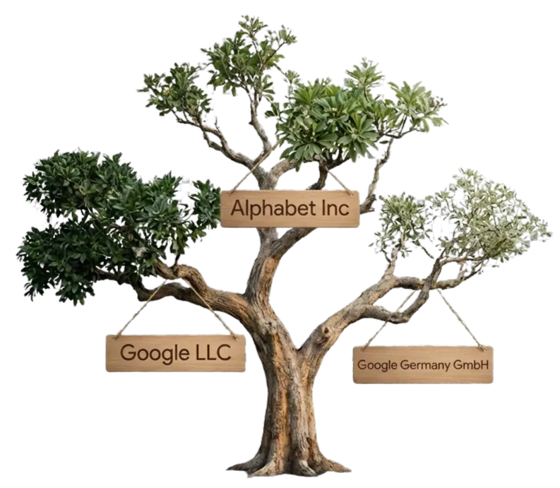 Árbol organizativo de empresa mostrando distintas entidades