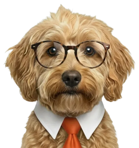 DataMerge attentive representative