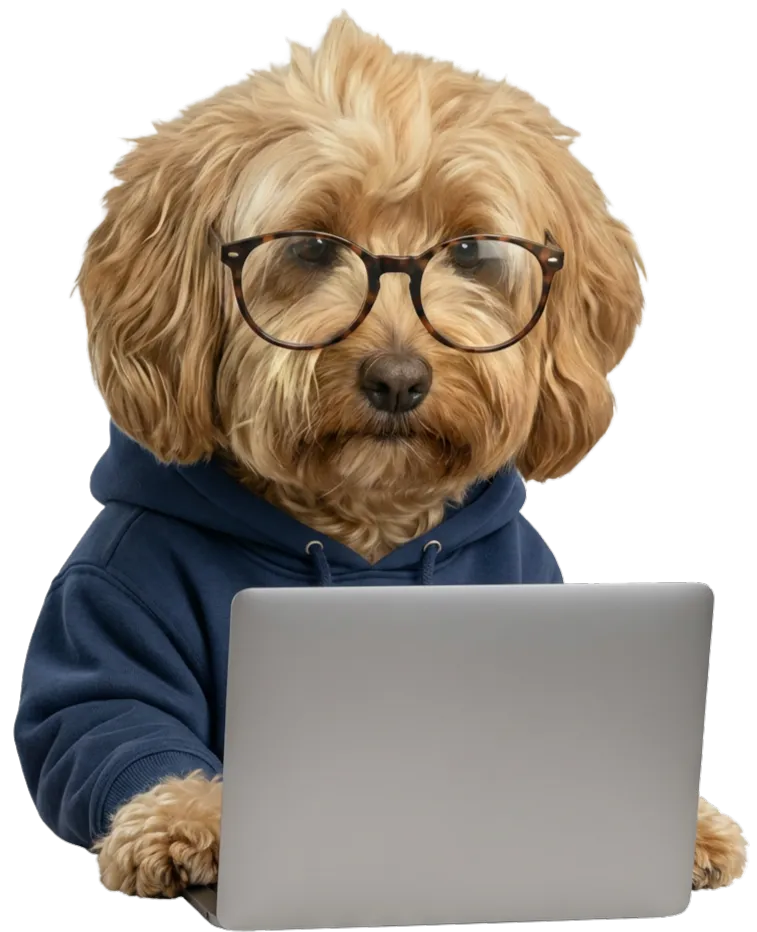 DataMerge mascot