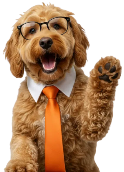 DataMerge mascot