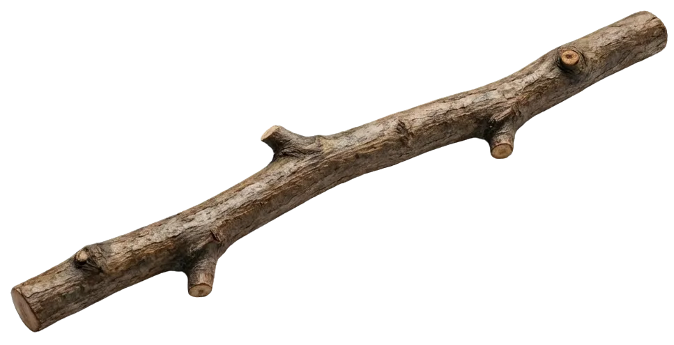 Retriever bringing back the right stick - AI company matching