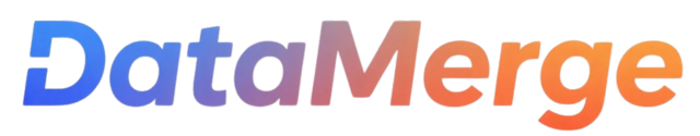 DataMerge Logo